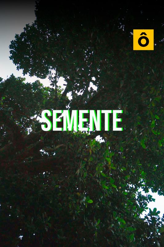 Semente